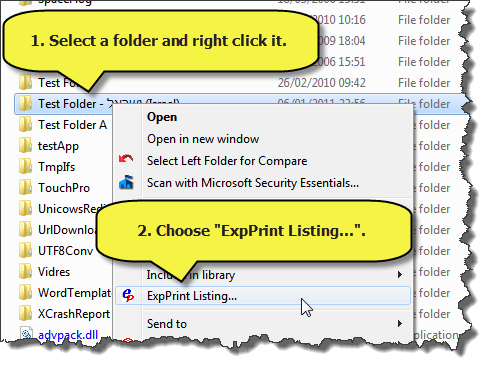 Shows the ExpPrint context menu item and how to invoke it